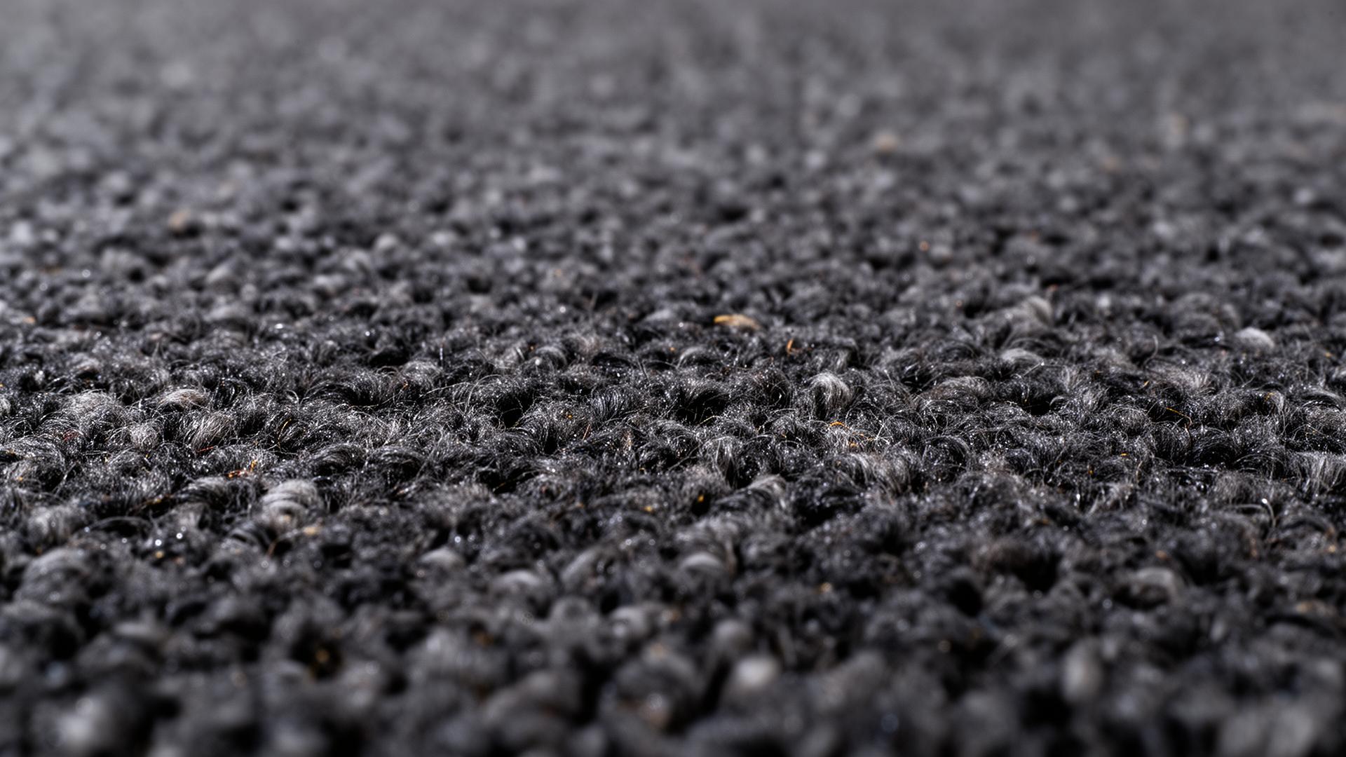 Needlepunch Carpet